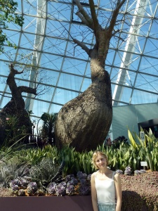 Corinna by a Baobab at gardens by the bay