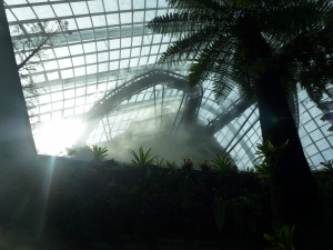 Clouds forming at gardens by the bay
