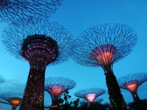 Supertrees at sunset at gardens by the bay