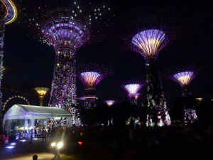 Supertrees by night at gardens by the bay